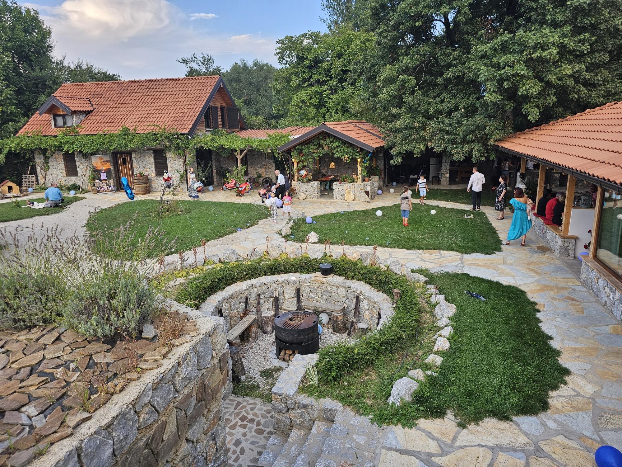 bird percepctive bird percepctive