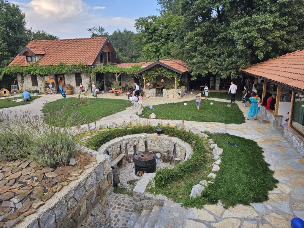 bird percepctive bird percepctive