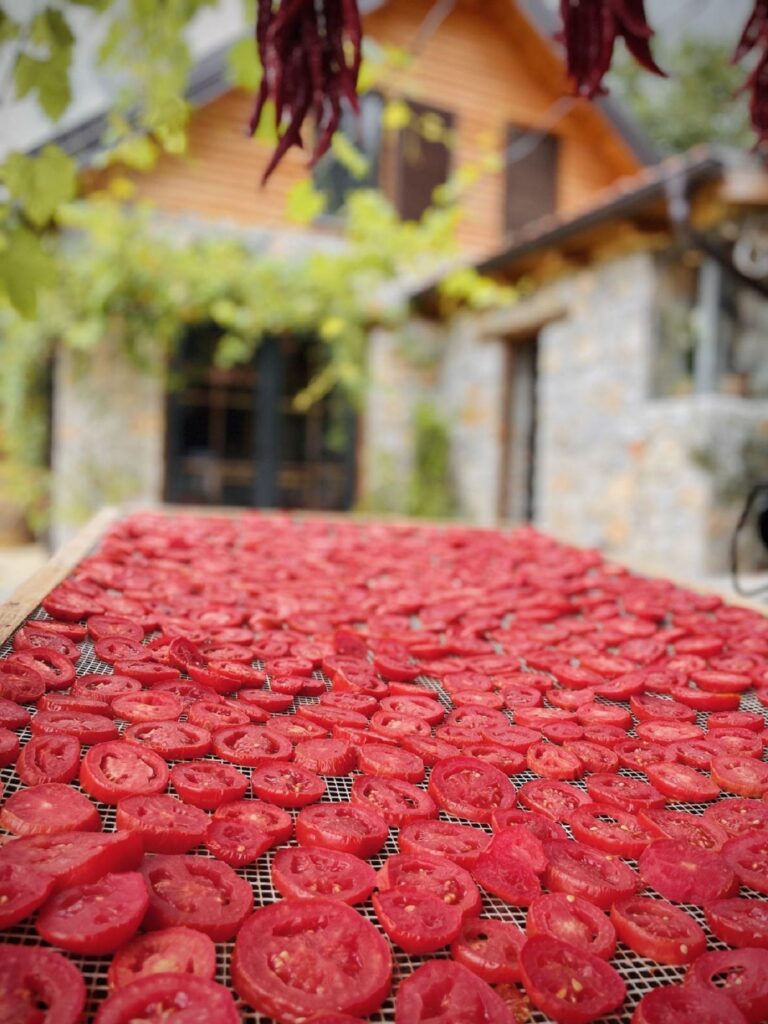 tomatoes 1 tomatoes 1