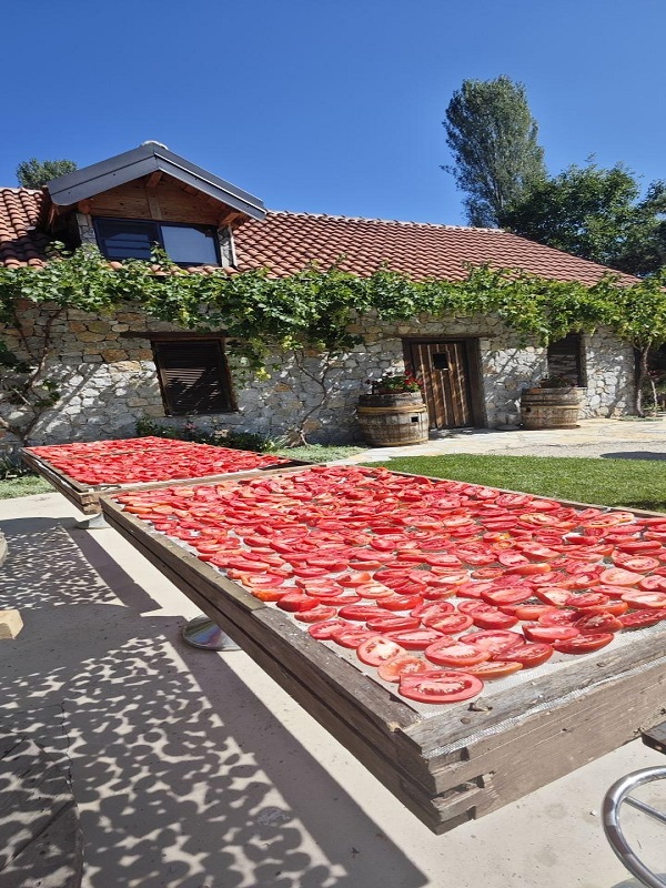 Amenities tomatoes 2