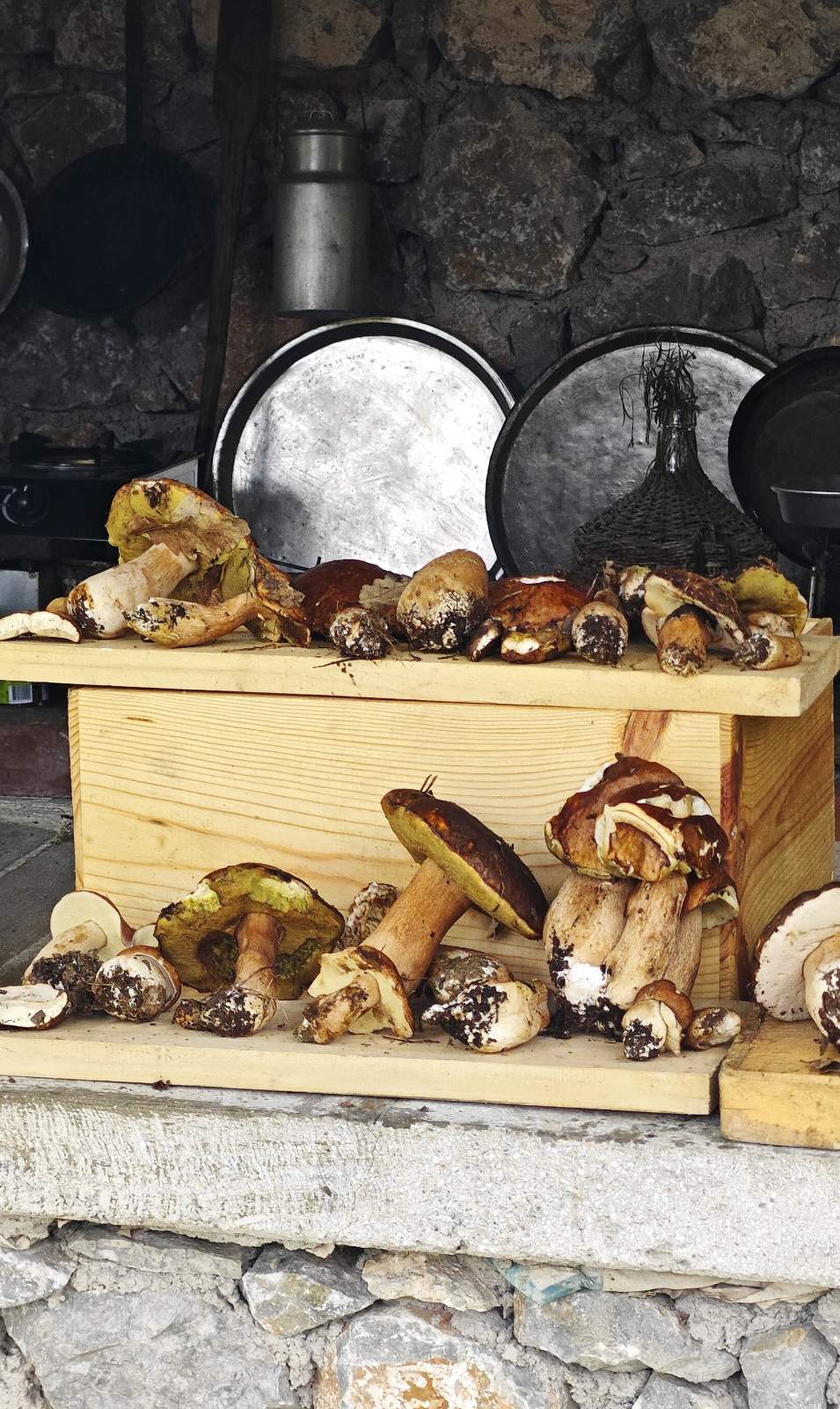 cellar out right size Wild porcini mushrooms in the stone summer kitchen